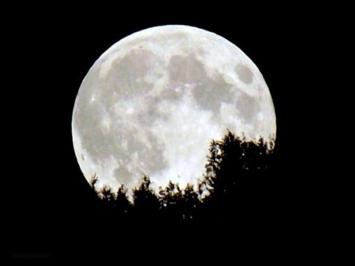 Calendario lunare