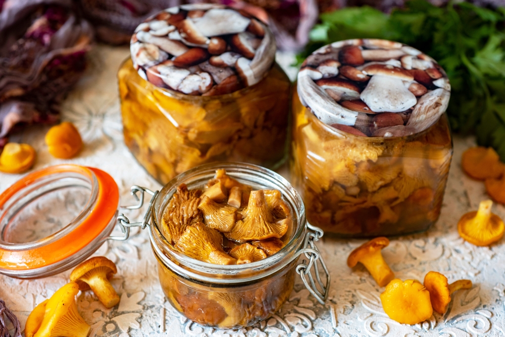 funghi – barattolo funghi – barattolo