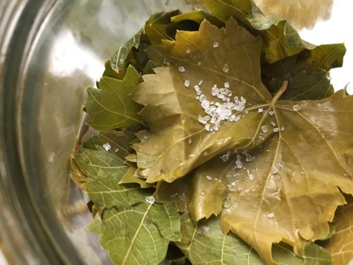Foglie di vite in salamoia ricetta