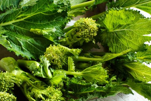 Semina delle cime di rapa