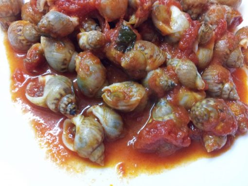 Lumache di mare al sugo