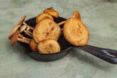 Funghi chiodini fritti