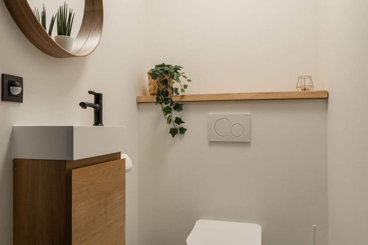 Le piante grasse adatte per il bagno