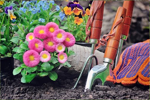 Come abbellire il giardino a marzo: idee creative e soluzioni fai da te
