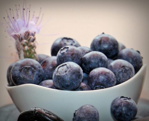 Marmellata di mirtilli ricetta