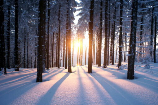 Solstizio d’inverno: che cos’è e quando cade