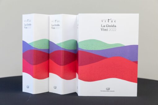 Miglior vino italiano 2022: vino dell’anno Guida Vitae Megonio 2019 Librandi