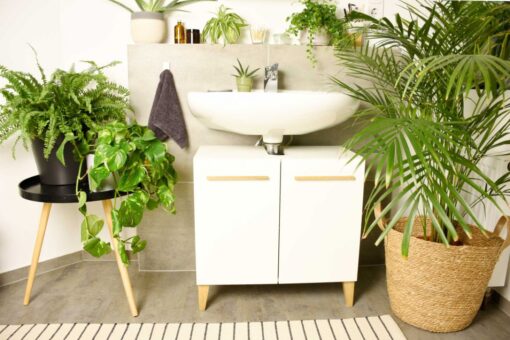 Piante che assorbono cattivi odori ed umidità: le 5 perfette per il bagno