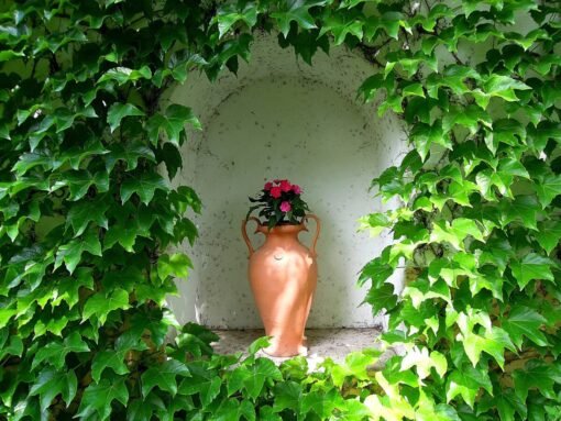Anfore da giardino: come sceglierle, modelli, prezzi, guida all’acquisto