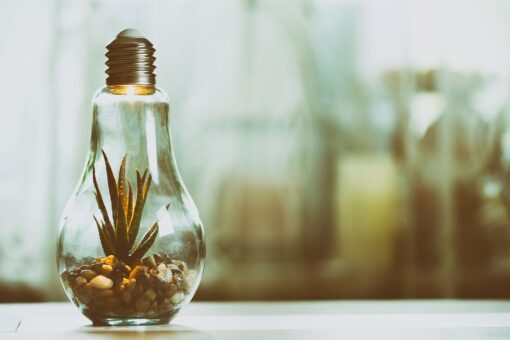 Lampada e luci per coltivare le piante