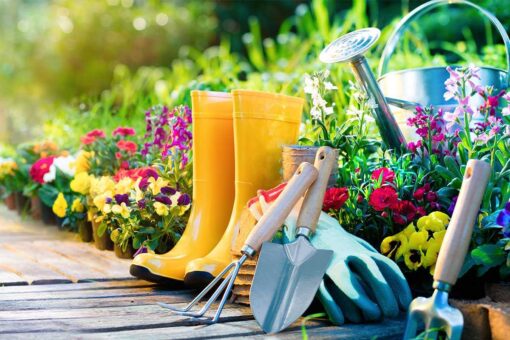 Le piante e i fiori che fioriscono a marzo 