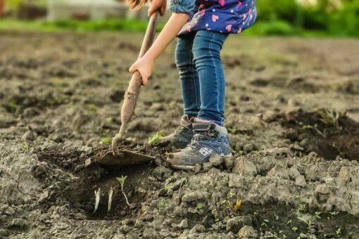 5 passaggi per preparare il terreno per l’orto