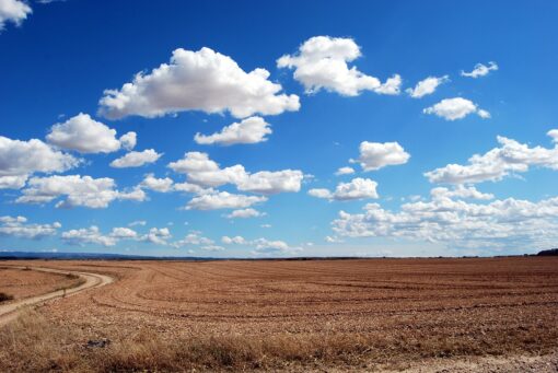 Agricoltura biodinamica: cos’è, come funziona, come si può iniziare