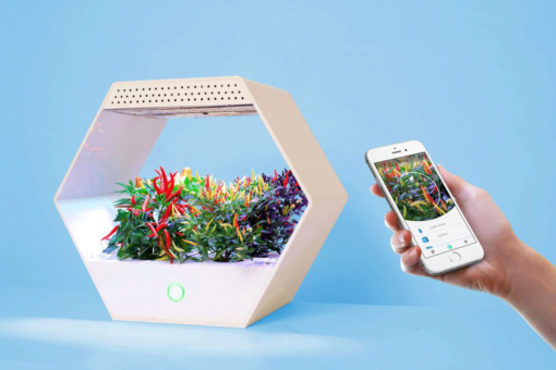 Serra idroponica smart: guida all’acquisto del modello ideale per casa tua