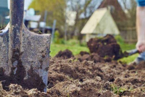 Terreno per orto: tipi e preparazione