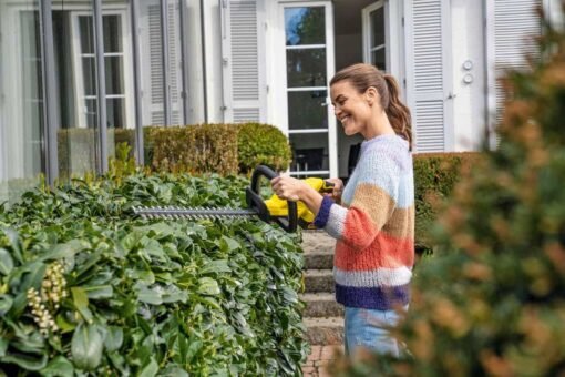 Tagliasiepi giardino: guida all’acquisto