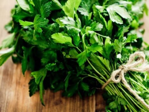Come piantare il prezzemolo del supermercato: guida