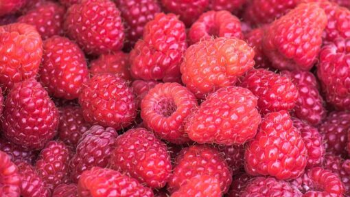 Liquore ai lamponi: la ricetta semplice per gustarli