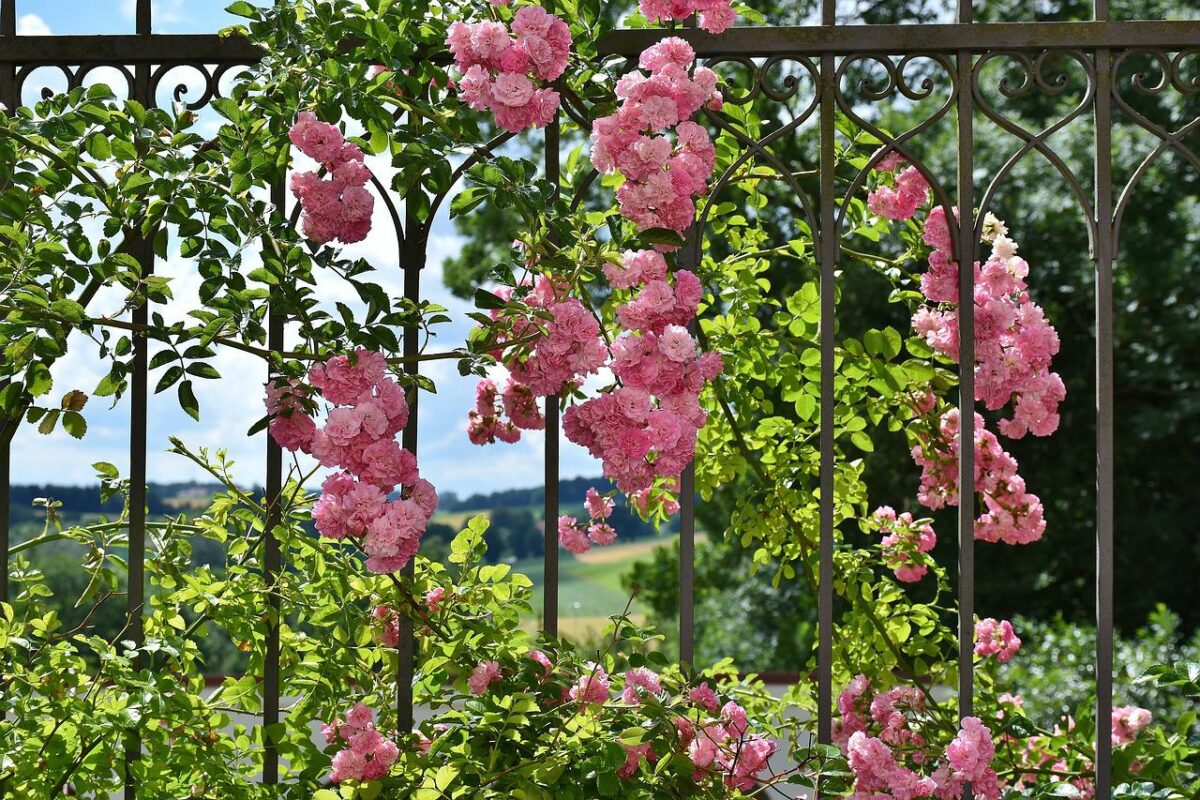 Alzare la ringhiera del terrazzo: perché farlo, normative e consigli