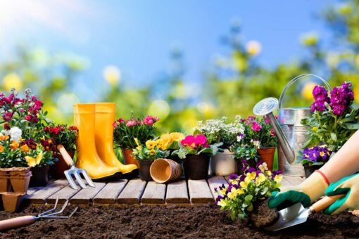 Quali alberi e piante devo potare a settembre?