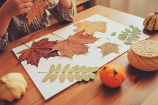 Foglie autunnali per decorare la casa