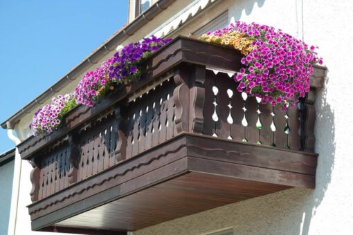 Piante da balcone: ecco le regine