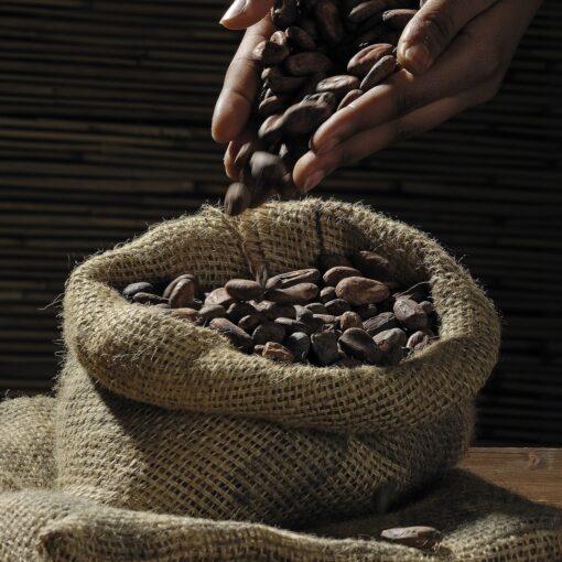 Ecologia e rifiuti: ecco Crush Cocoa, la carta riciclata dal cacao