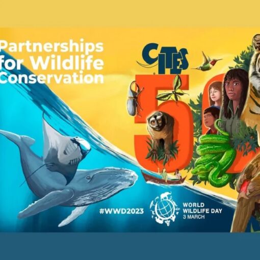 Giornata Mondiale della Natura 2023, perchè si celebra e qual è il tema dell’anno