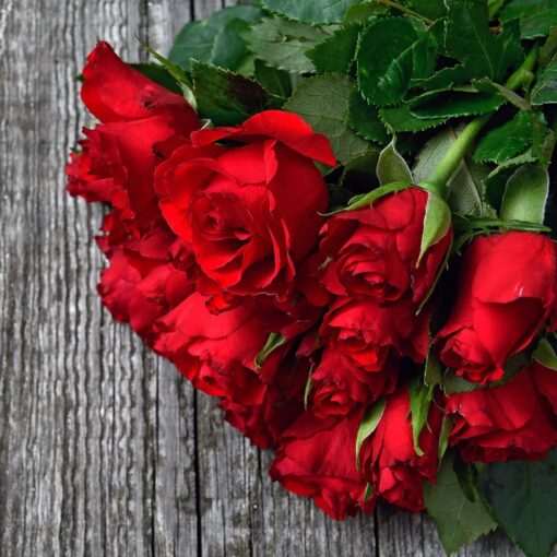 San Valentino 2023 senza fiori: colpa del caro energia e del gelo