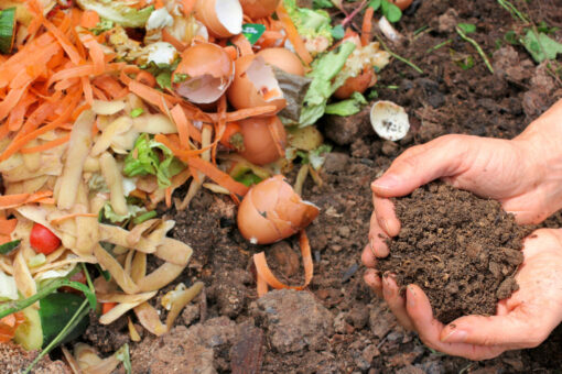 Come fare compostaggio domestico: le norme da seguire