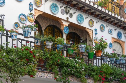 Le 10 piante fiorite da balcone più belle da esporre in pieno sole