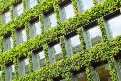 Casa green: cos’è e come si riconosce