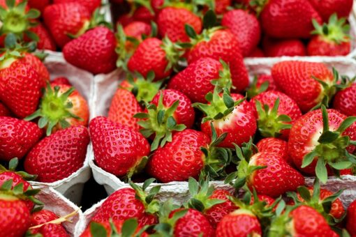 Fragole: proprietà, calorie e controindicazioni di questi amatissimi frutti
