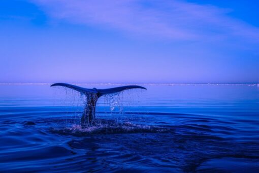 Clima, oceani più caldi e livelli in aumento: lo studio della NASA