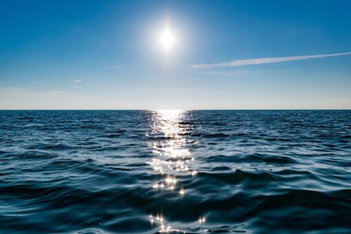 Crisi climatica: il futuro della Florida secondo i ricercatori