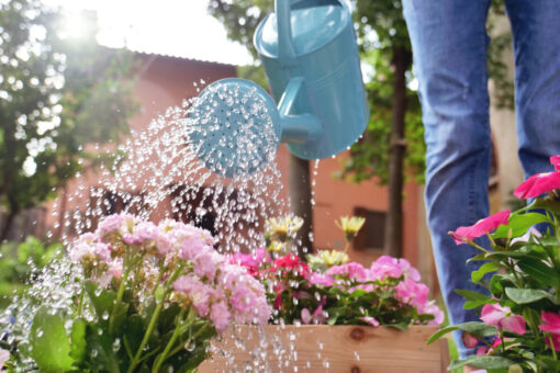 Si può innaffiare il giardino condominiale?