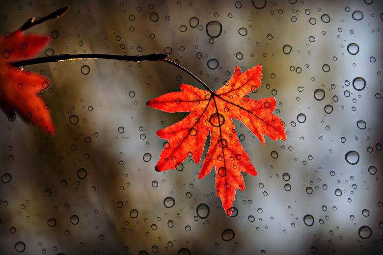 Autunno