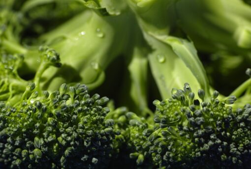 Facciamo diventare i broccoli i protagonisti: 3 ricette sfiziose da gustare in settimana