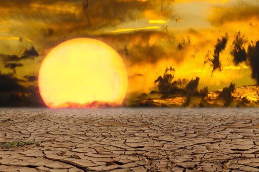 Video – Il caldo estremo cambia volto all’Europa: cosa raccontano gli ultimi dati