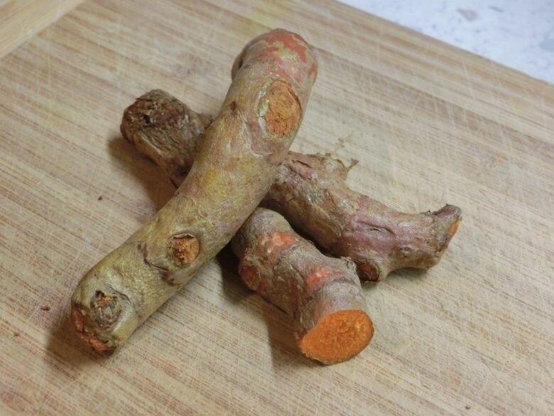 Curcuma, Radice