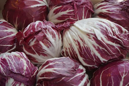 2 gustosi piatti a base di radicchio per il menù di questa settimana