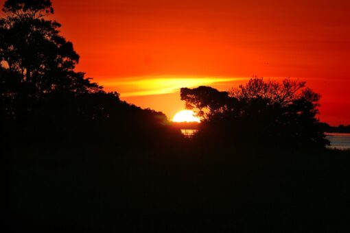 L’Amazzonia rilascia troppi gas serra?