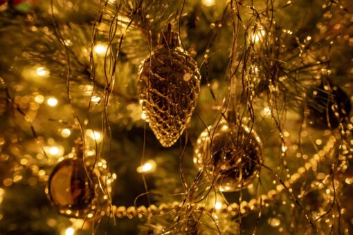 Finite le feste di Natale? Ecco il trucco come sistemare gli addobbi in cantina