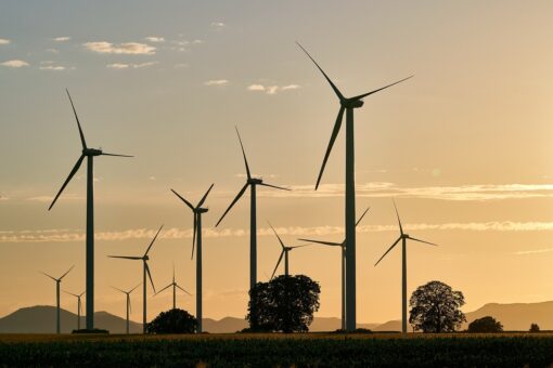 Volto nuovo per l’Eolico: dalla Svezia arrivano le torri in legno