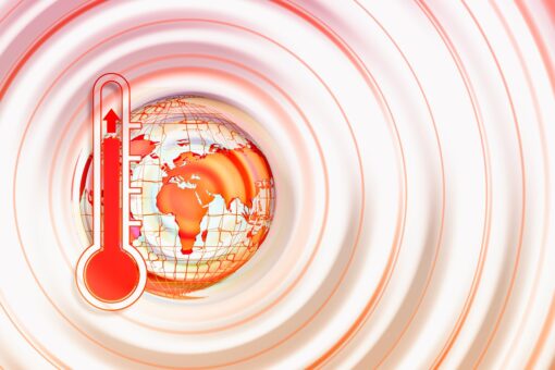Riscaldamento globale: in pericolo oltre il 90% dei mammiferi del Brasile