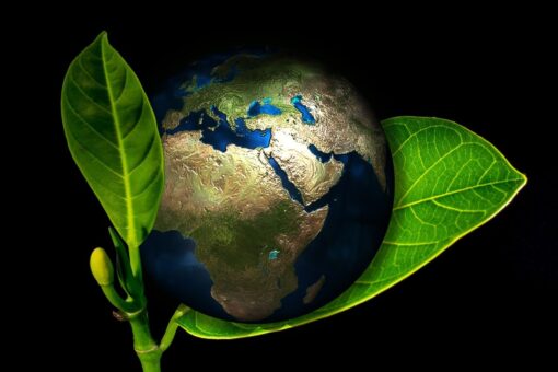 Dall’Ue un nuovo provvedimento per contrastare il greenwashing