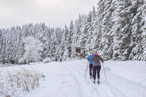La crisi climatica cancellerà degli sport?