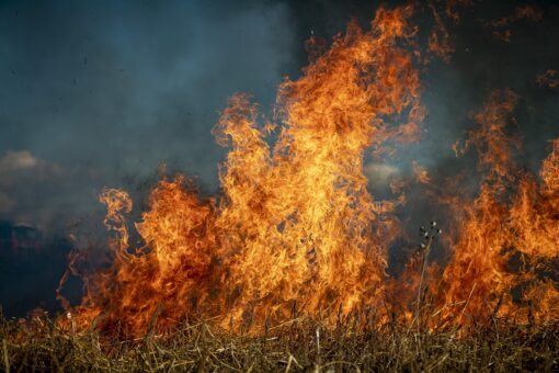 Midwest: troppo caldo, arriva in anticipo la stagione degli incendi