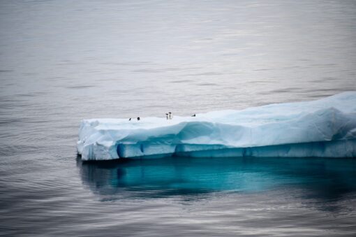 NASA: il ghiaccio marino antartico è ai minimi storici