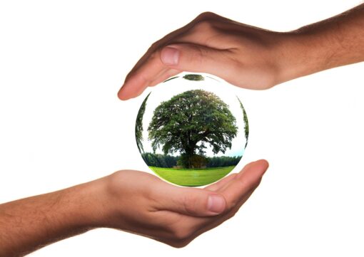 Soluzioni ecologiche innovative per salvare i ghiacciai